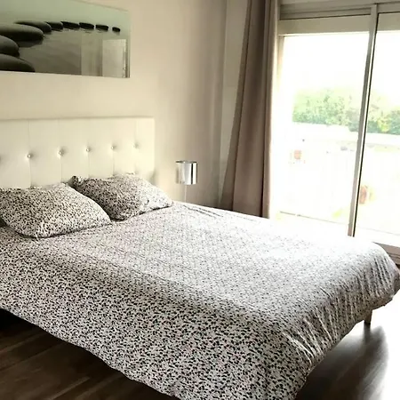 Le Cocon De Celine-luxe-centre Ville-parc Leo Lagrange-stade Auguste Delaune- Wifi * Reims