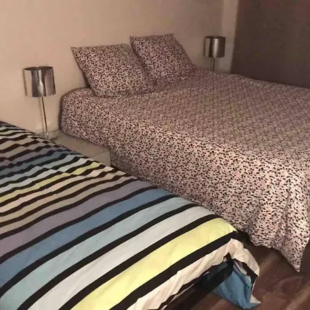 Apartment Le Cocon De Celine-luxe-centre Ville-parc Leo Lagrange-stade Auguste Delaune- Wifi Reims