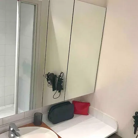 Apartment Le Cocon De Celine-luxe-centre Ville-parc Leo Lagrange-stade Auguste Delaune- Wifi *